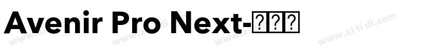 Avenir Pro Next字体转换 Avenir Pro Next字体转换